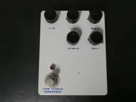 562281369154 MASF PEDALS Possessed Random Delay Guitar Effect