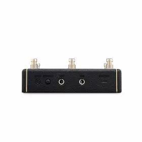 SPD11M-USSS POSITIVE GRID Spark Control Wireless Footswitch #3