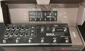 811059010397 T-REX Engineering Soulmate Acoustic Guitar