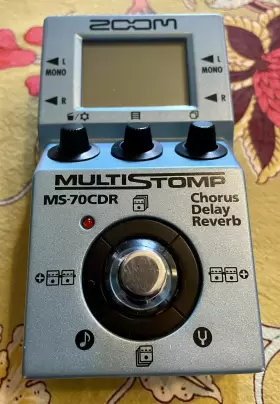 MS70CDR ZOOM Effect #2