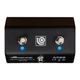 Ampeg AFS2 2-Button Footswitch