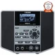BOSS JS-10 eBand Audio Player with Guitar Effects Jam Station JS10 Speaker