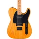 Fender American Pro II Telecaster HH Roasted Maple Neck LE Guitar 19788475208 RF