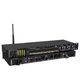 Depusheng REV3900 Pre Effector Professional KTV Dual Microphone, black