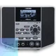 BOSS eBand JS-10 Audio Player with Guitar Effects
