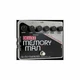 Electro-Harmonix Deluxe Memory Man Delay/Chorus/Vibrato - Delay Effect Pedal